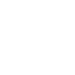 Icon Vision